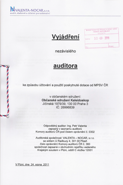 audit2010